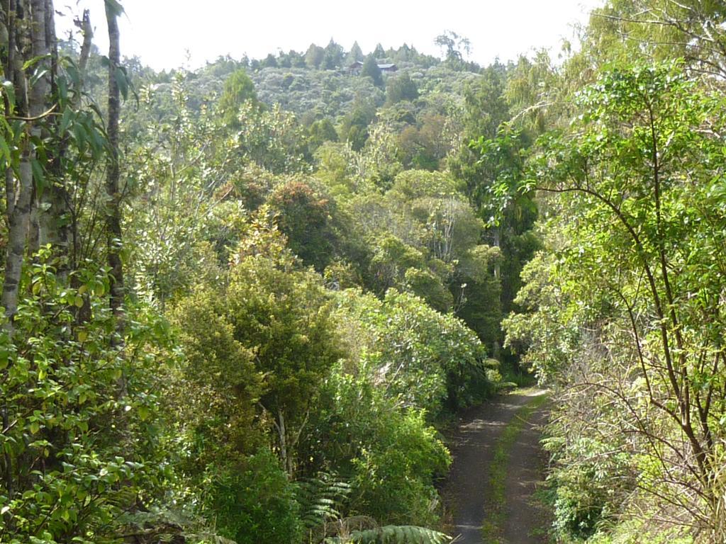 Fern Ridge Hideaway Victoria Valley Exterior photo